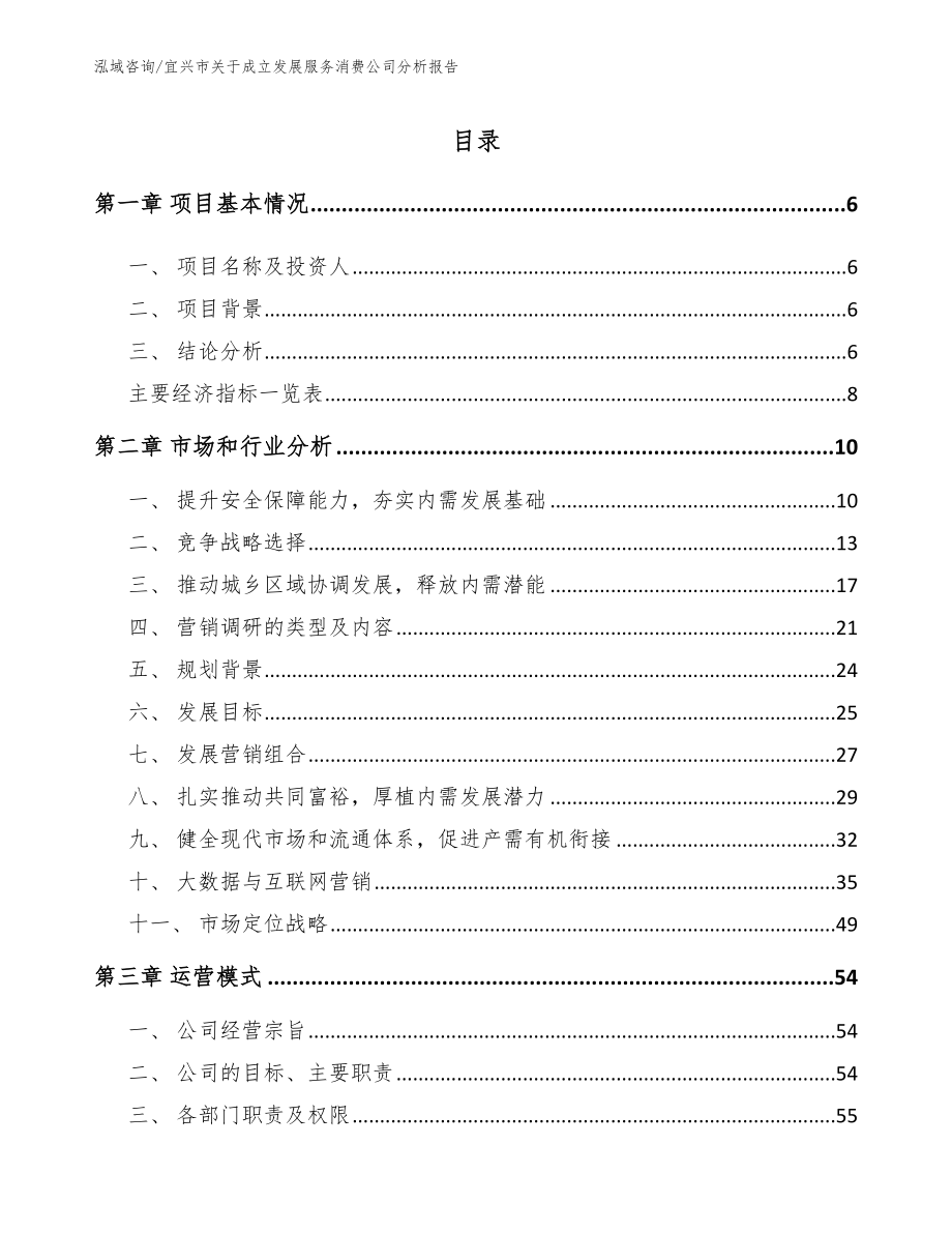宜兴市关于成立发展服务消费公司分析报告_第1页