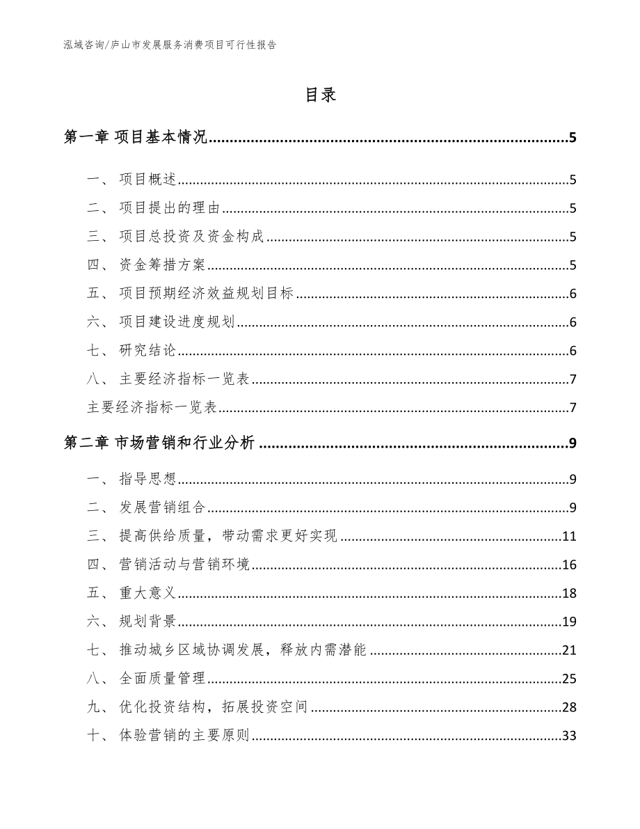 庐山市发展服务消费项目可行性报告_模板范文_第1页
