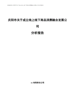 庆阳市关于成立线上线下商品消费融合发展公司分析报告_模板