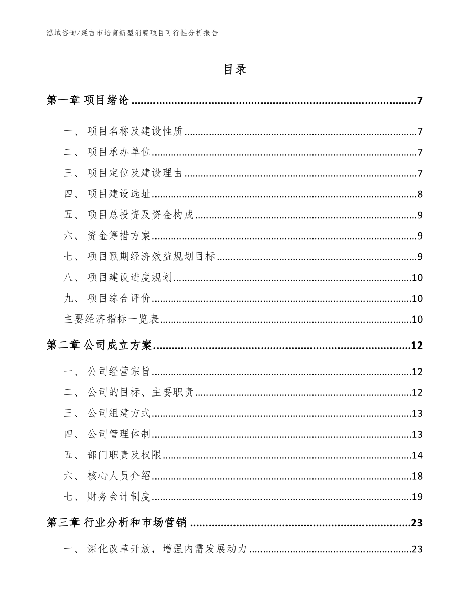 延吉市培育新型消费项目可行性分析报告【范文】_第1页