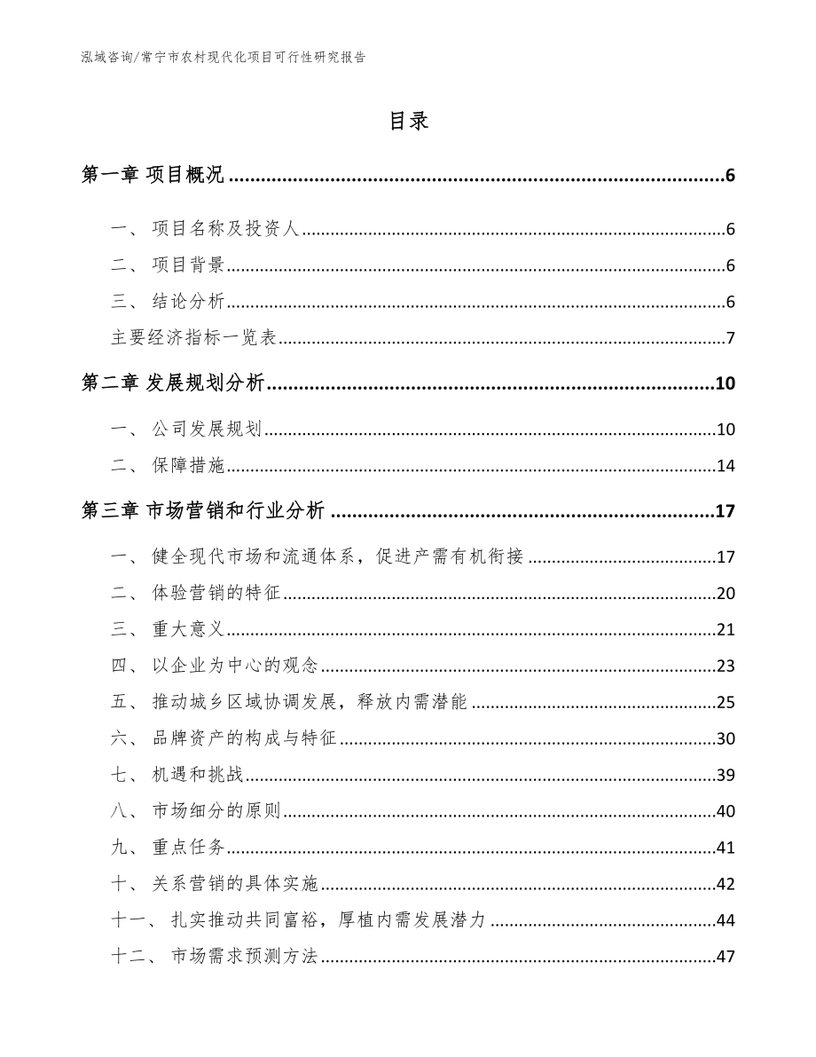 常宁市农村现代化项目可行性研究报告_模板_第1页