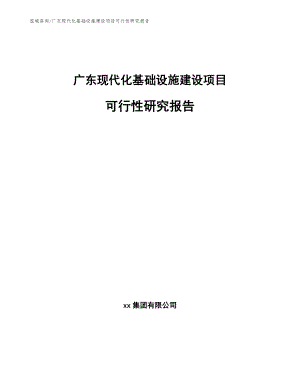 广东现代化基础设施建设项目可行性研究报告（参考范文）