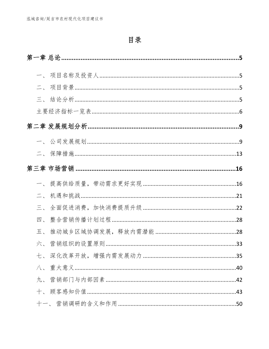 延吉市农村现代化项目建议书_范文模板_第1页