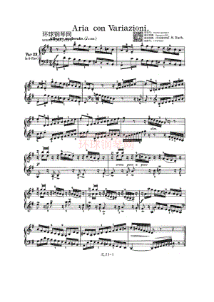 Aria con Variazioni 之23 钢琴谱