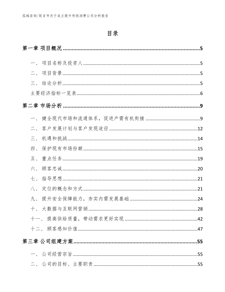 延吉市关于成立提升传统消费公司分析报告（范文参考）_第1页