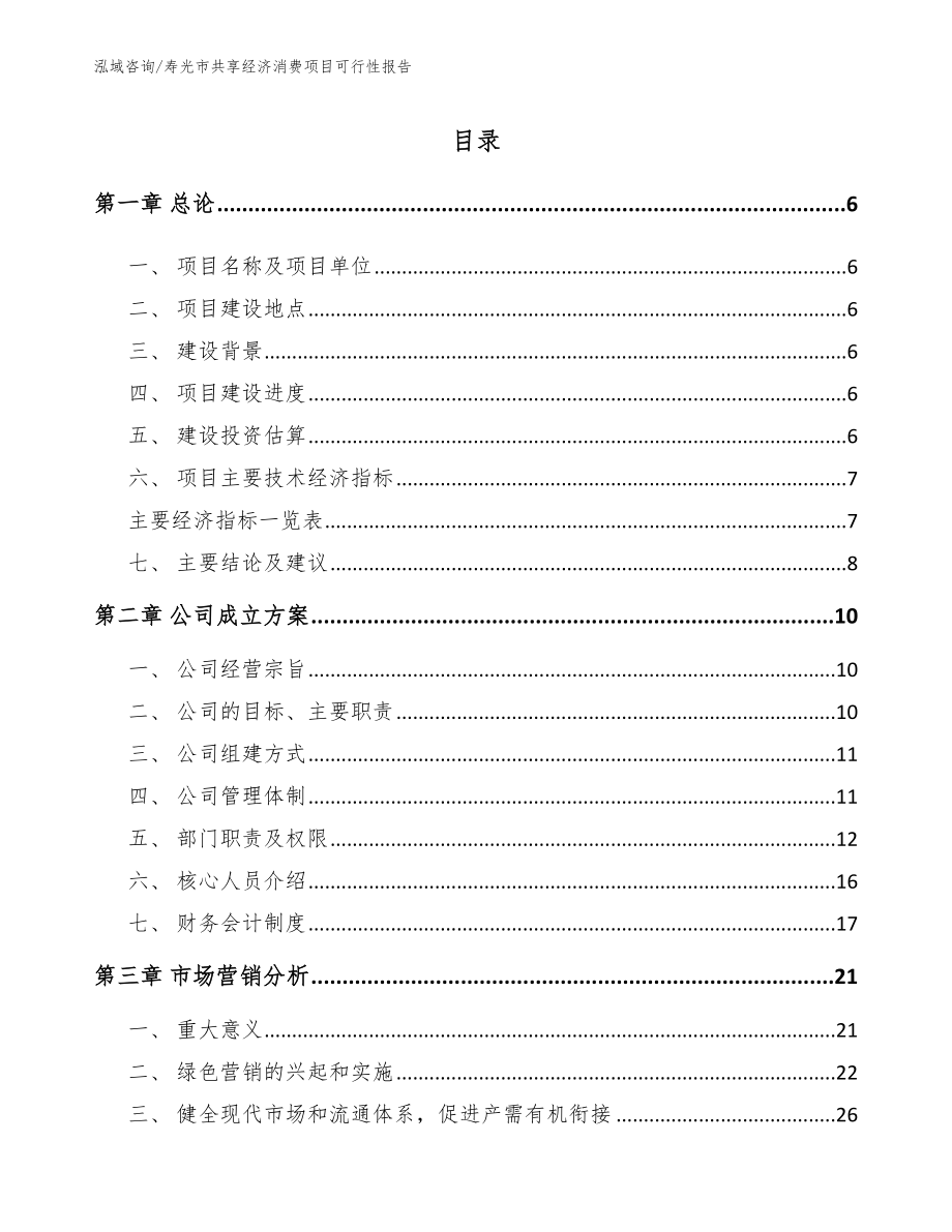 寿光市共享经济消费项目可行性报告（模板参考）_第1页