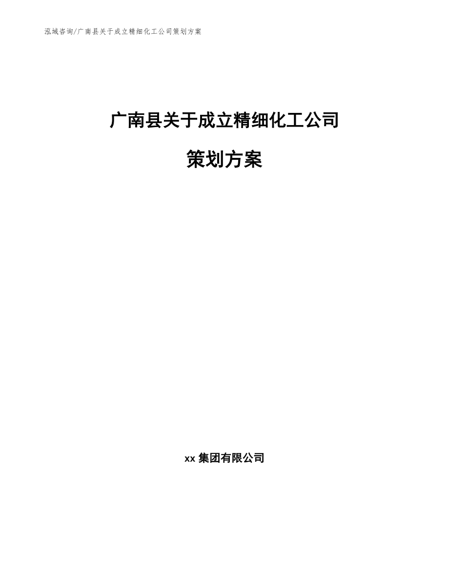 广南县关于成立精细化工公司策划方案_第1页