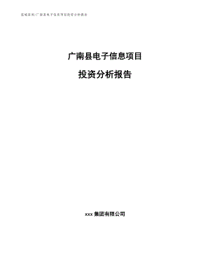 广南县电子信息项目投资分析报告【范文模板】