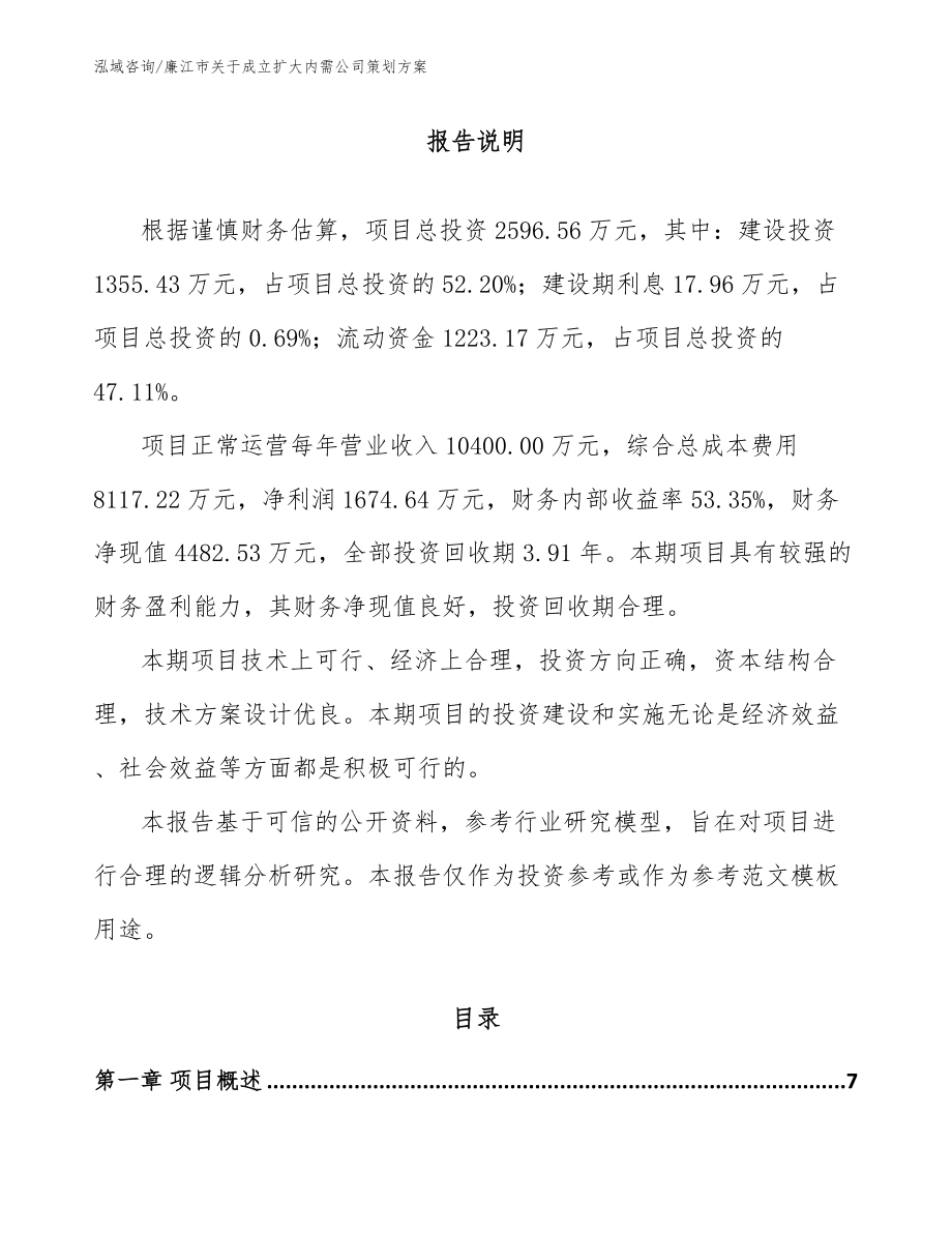 廉江市关于成立扩大内需公司策划方案【模板范本】_第1页