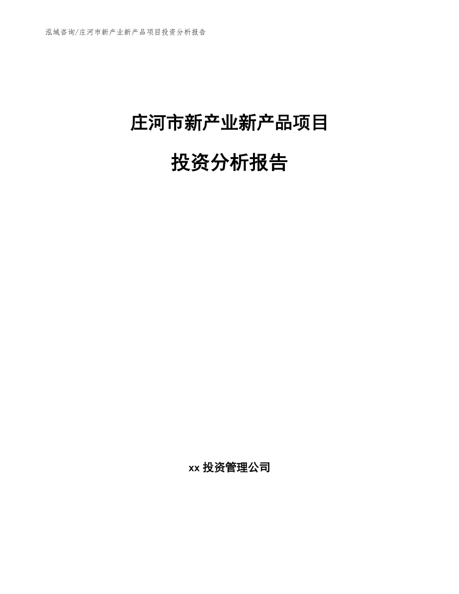 庄河市新产业新产品项目投资分析报告模板_第1页