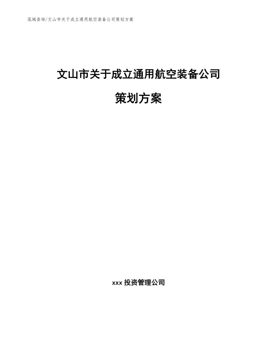 文山市关于成立通用航空装备公司策划方案（范文参考）_第1页