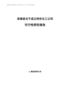 息烽县关于成立特色化工公司可行性研究报告范文