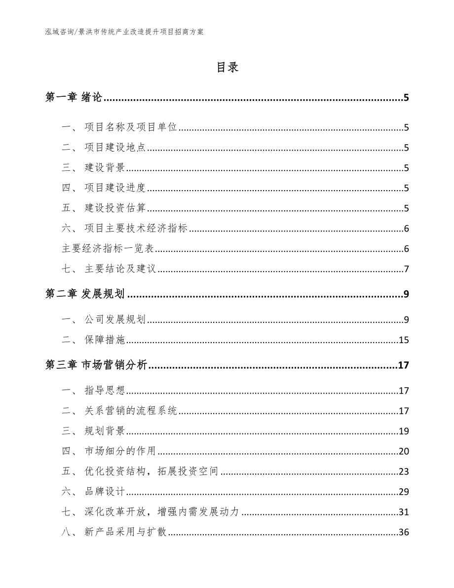 景洪市传统产业改造提升项目招商方案（范文模板）_第1页