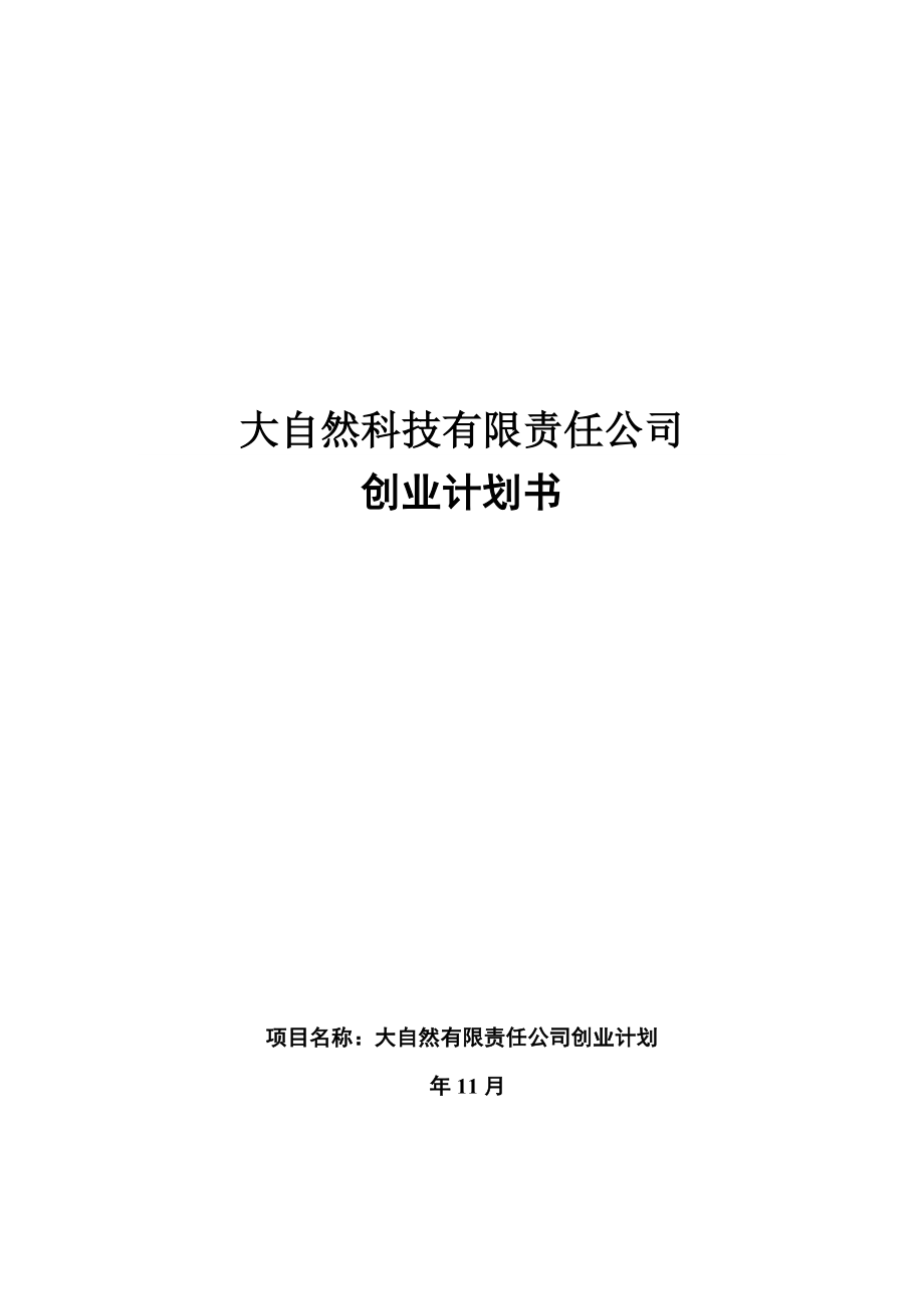 风云炫彩系列便携式空气净化器创业计划书_第1页