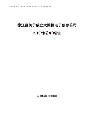 德江县关于成立大数据电子信息公司可行性分析报告【模板】