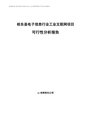桂东县电子信息行业工业互联网项目可行性分析报告【范文】