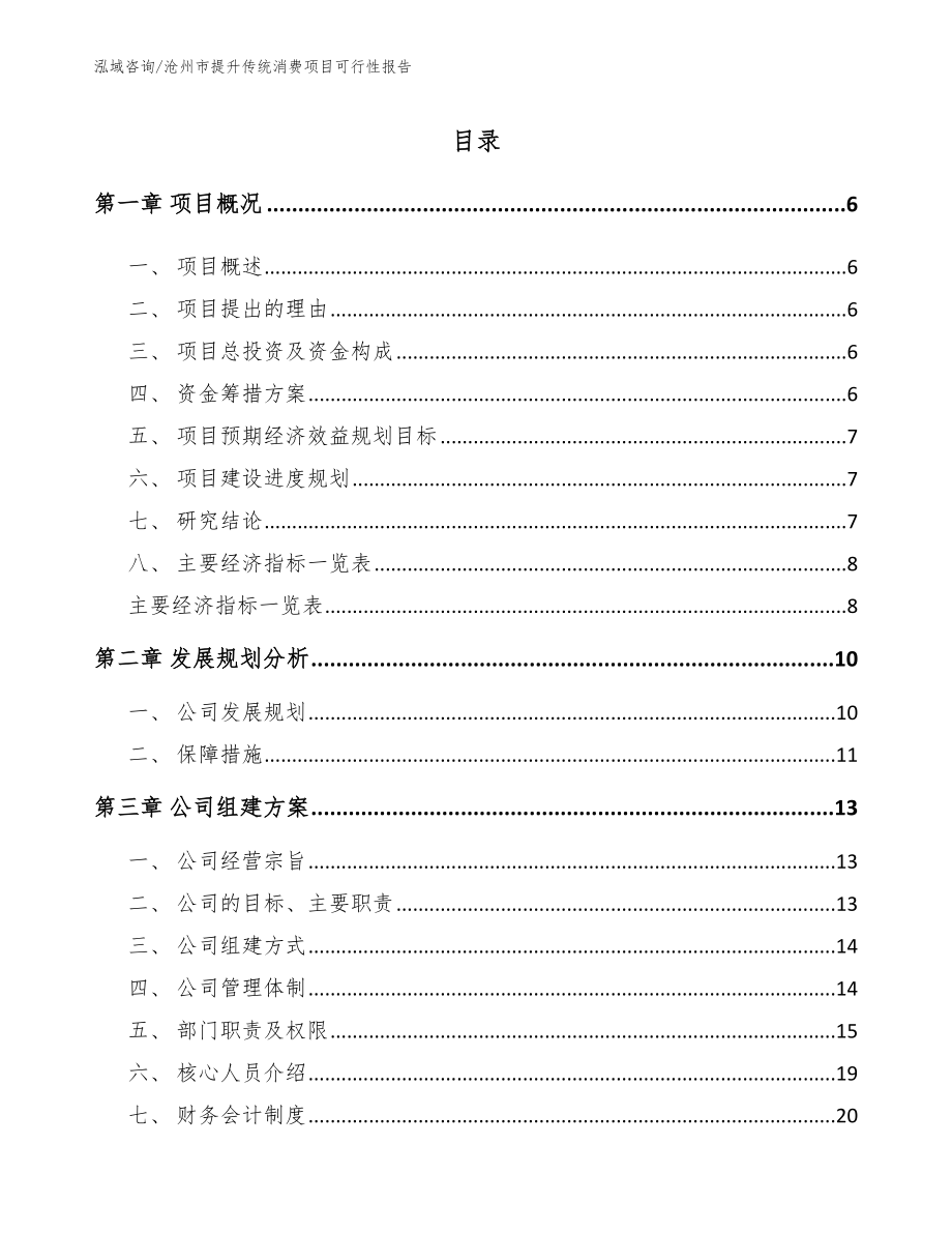 沧州市提升传统消费项目可行性报告_模板范文_第1页