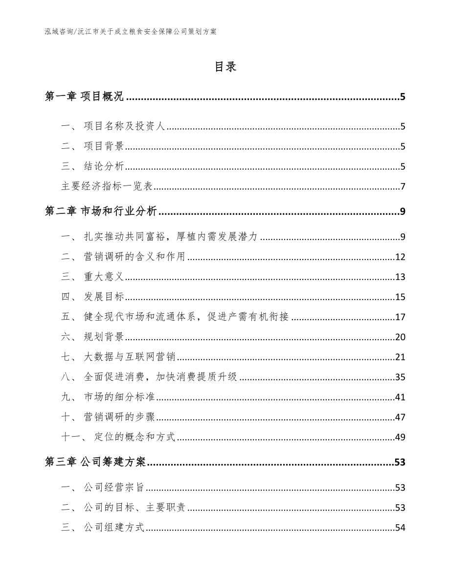 沅江市关于成立粮食安全保障公司策划方案_第1页