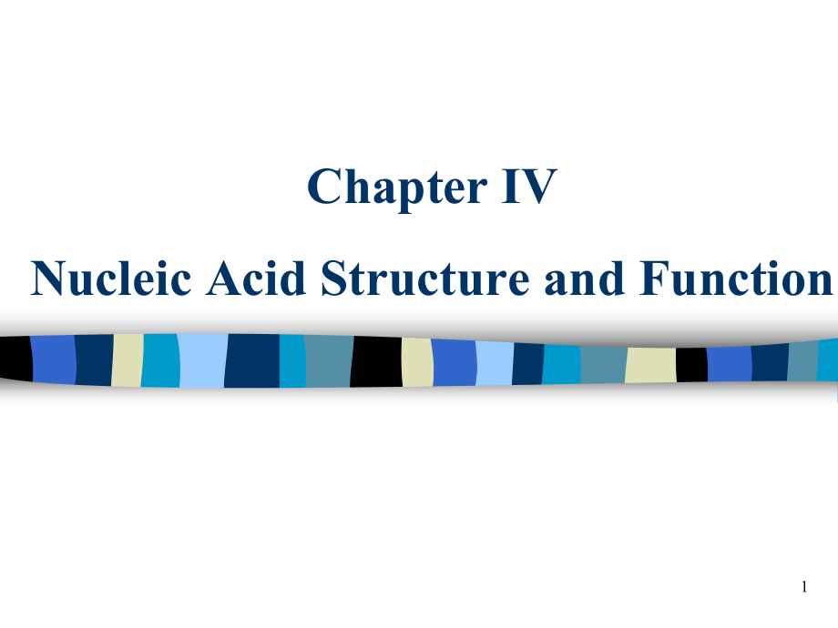 分子细胞生物学课件：第四章 Nucleic Acid Structure and Function_第1页