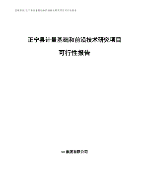 正宁县计量基础和前沿技术研究项目可行性报告_模板范文