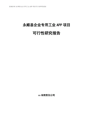 永顺县企业专用工业APP项目可行性研究报告
