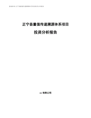 正宁县量值传递溯源体系项目投资分析报告（范文模板）