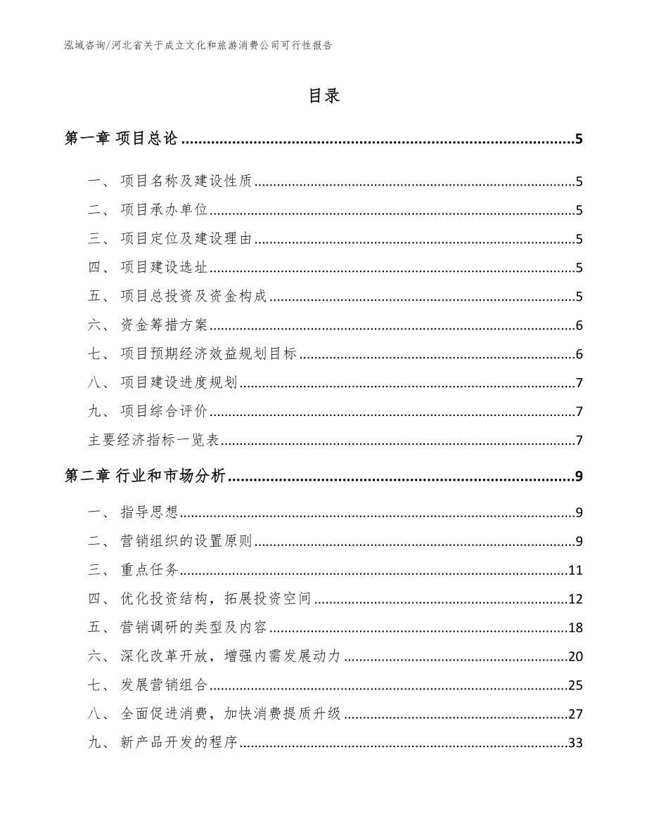 河北省关于成立文化和旅游消费公司可行性报告（模板）_第1页