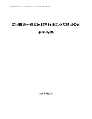 武冈市关于成立原材料行业工业互联网公司分析报告（范文参考）