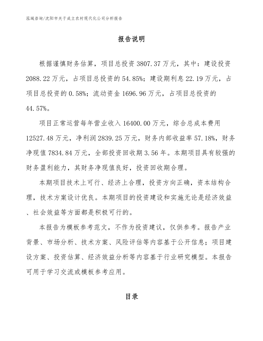 沈阳市关于成立农村现代化公司分析报告_模板范文_第1页