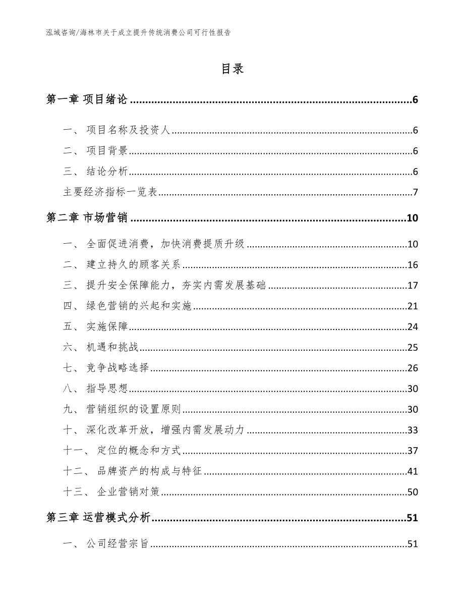 海林市关于成立提升传统消费公司可行性报告_第1页