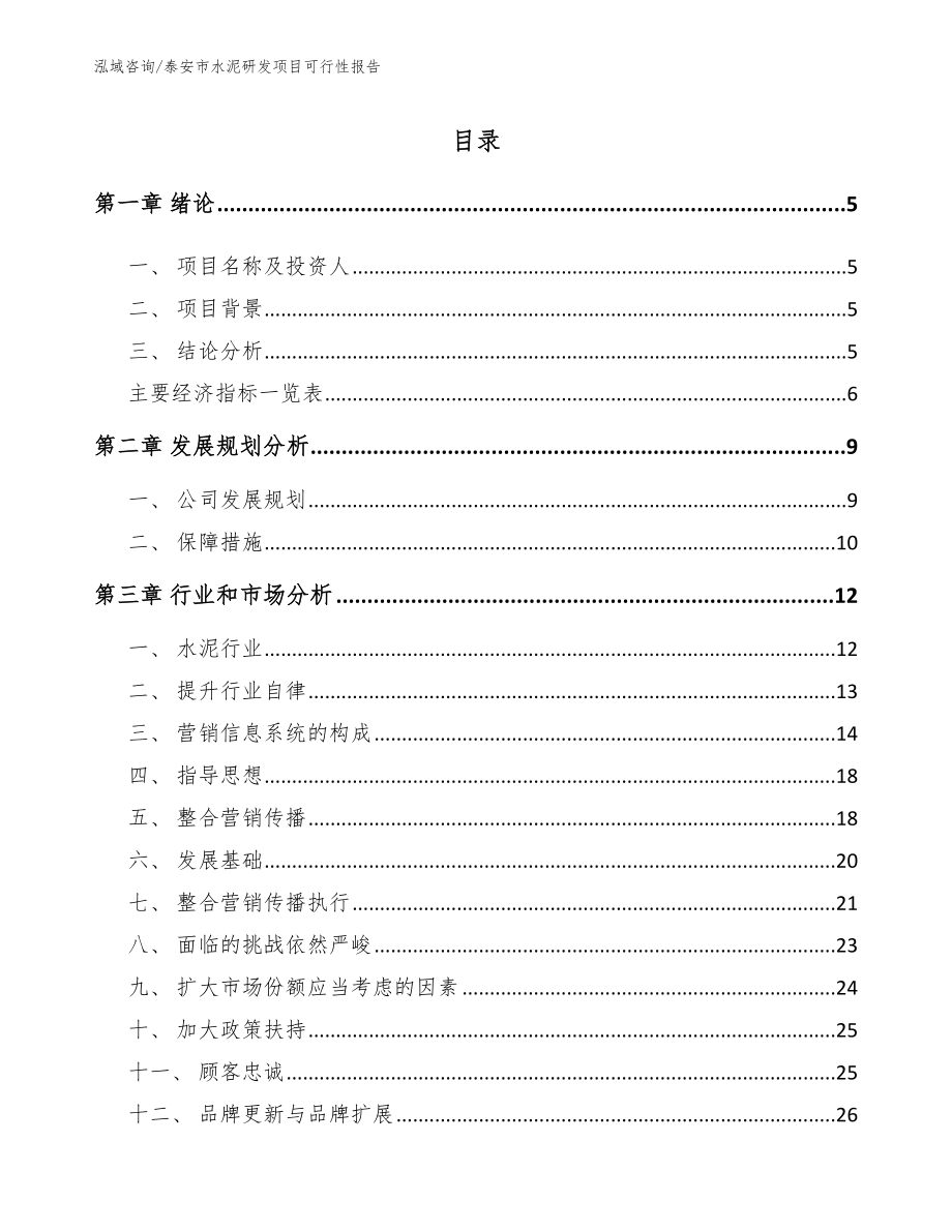 泰安市水泥研发项目可行性报告_第1页