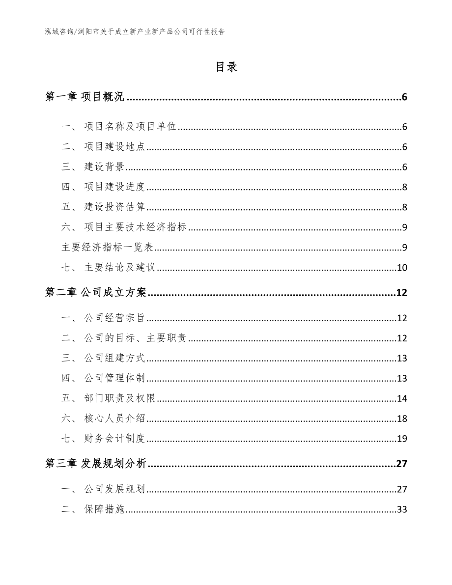 浏阳市关于成立新产业新产品公司可行性报告_第1页