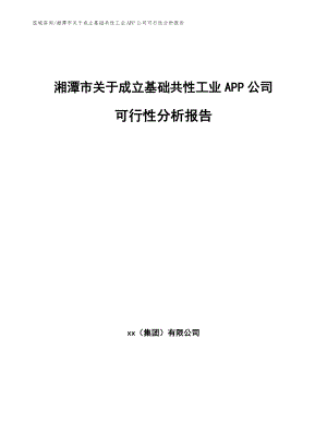 湘潭市关于成立基础共性工业APP公司可行性分析报告【模板】