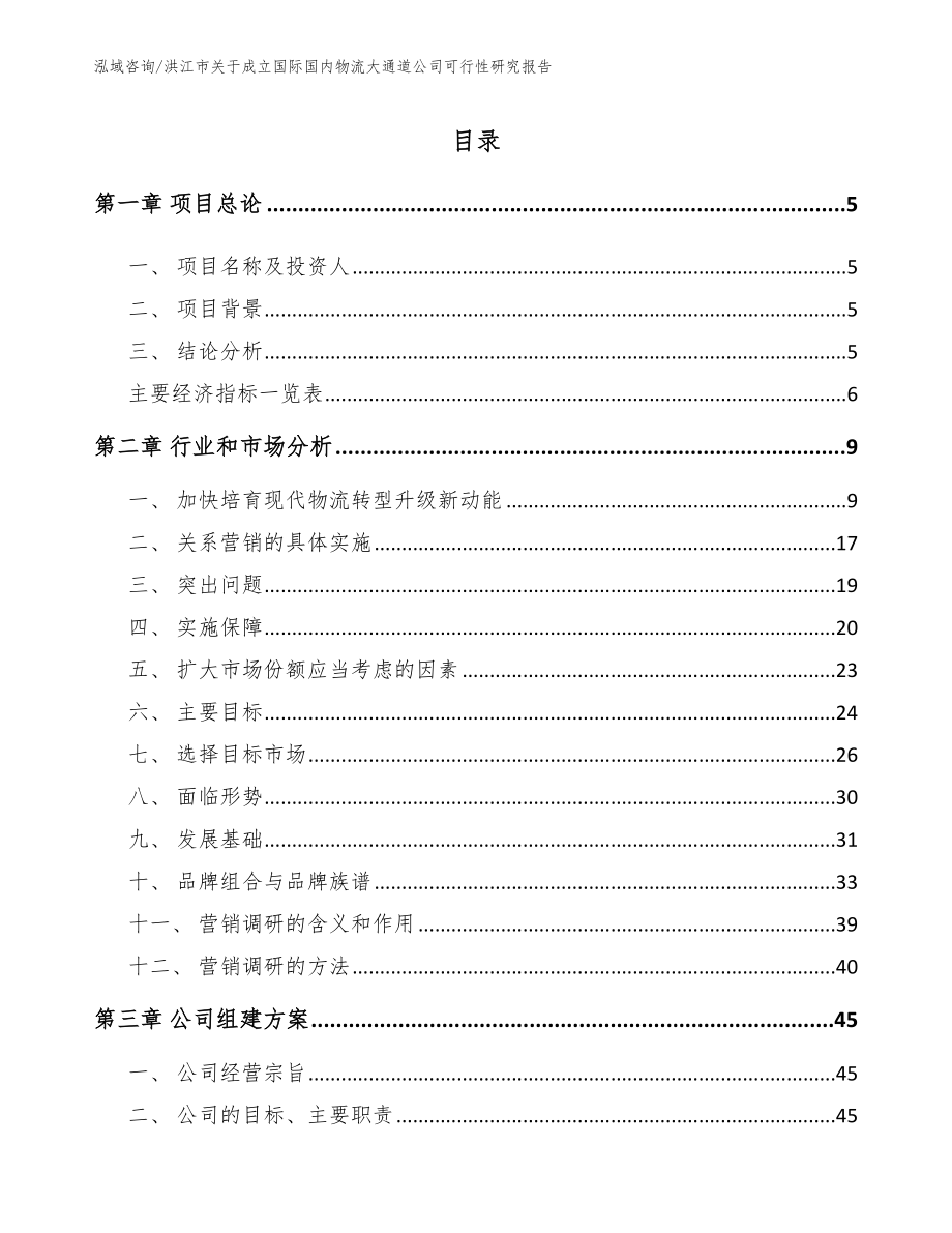 洪江市关于成立国际国内物流大通道公司可行性研究报告_参考模板_第1页