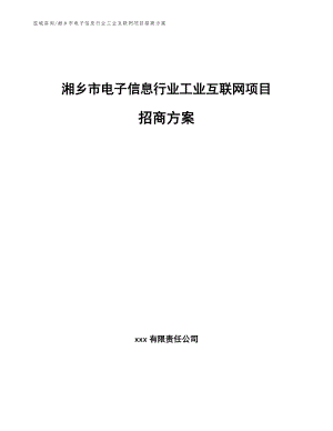 湘乡市电子信息行业工业互联网项目招商方案（参考范文）