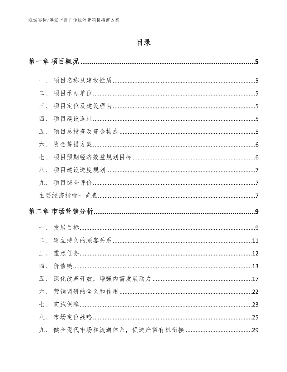 洪江市提升传统消费项目招商方案模板范本_第1页
