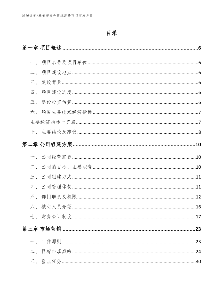 泰安市提升传统消费项目实施方案范文模板_第1页