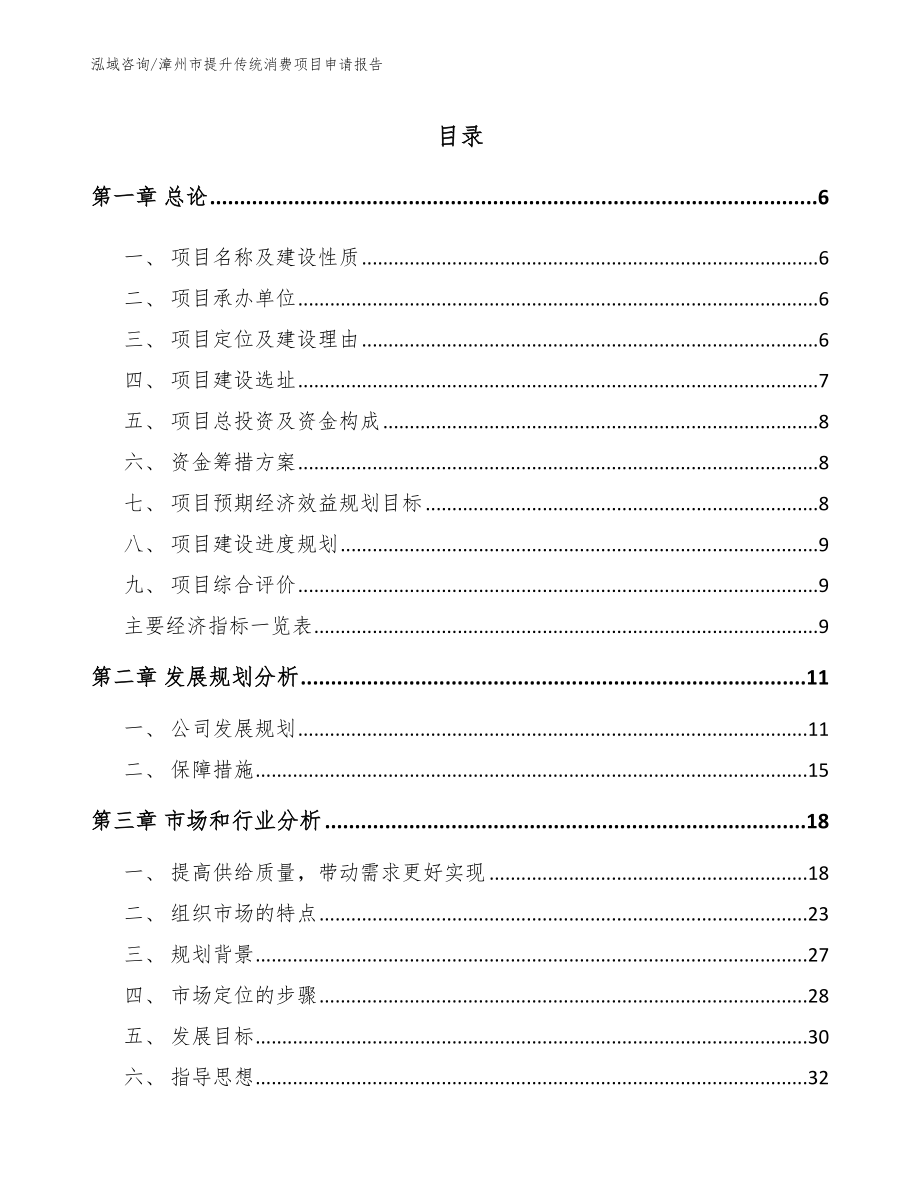 漳州市提升传统消费项目申请报告_模板_第1页