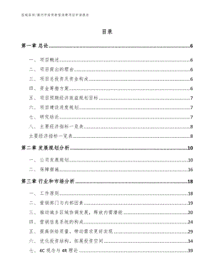 漠河市培育新型消费项目申请报告模板范本