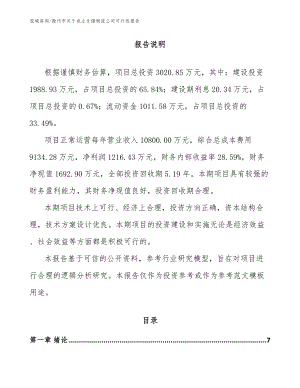 滁州市关于成立仓储物流公司可行性报告