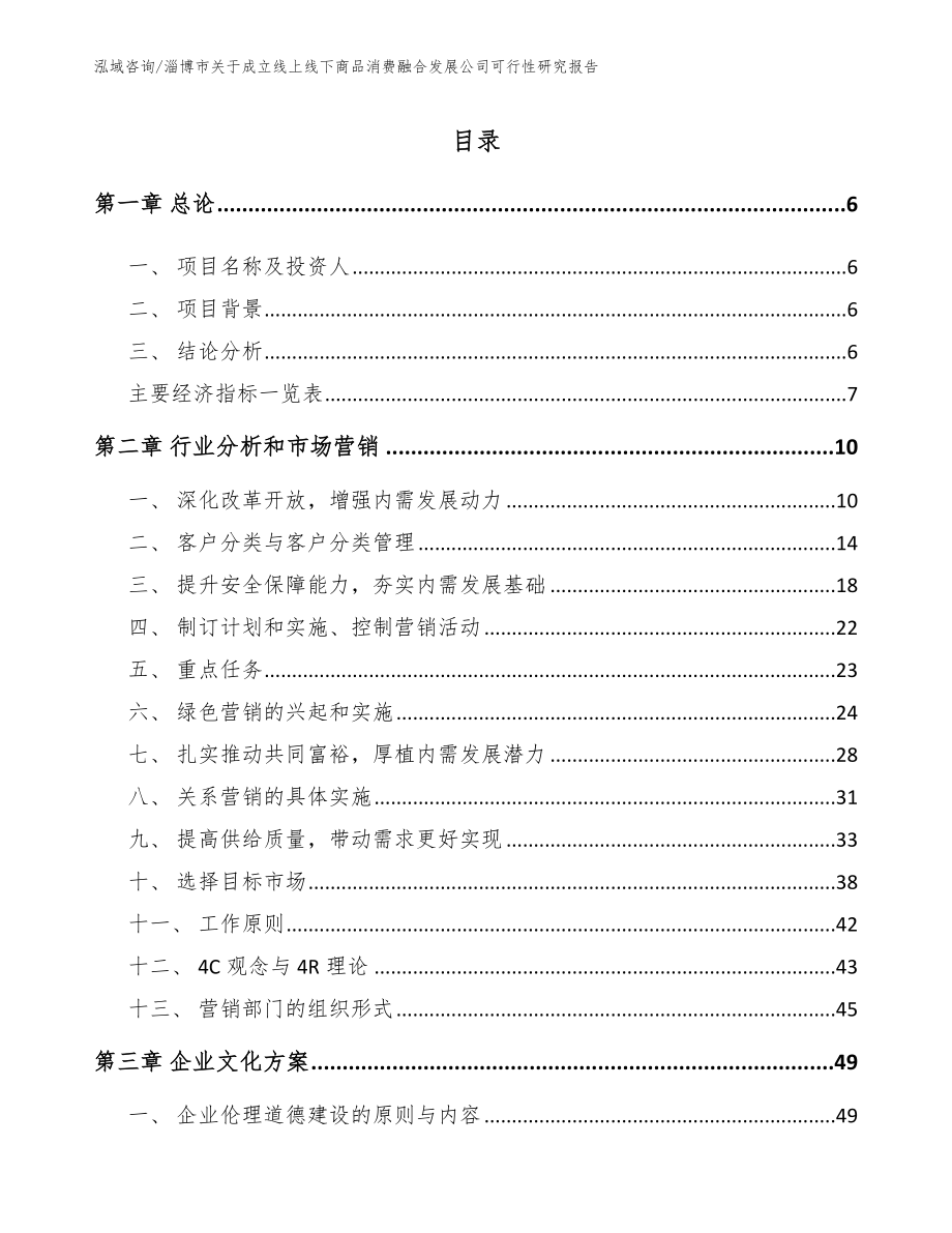 淄博市关于成立线上线下商品消费融合发展公司可行性研究报告范文模板_第1页