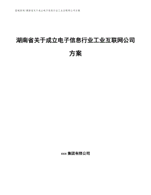 湖南省电子信息行业工业互联网项目可行性分析报告
