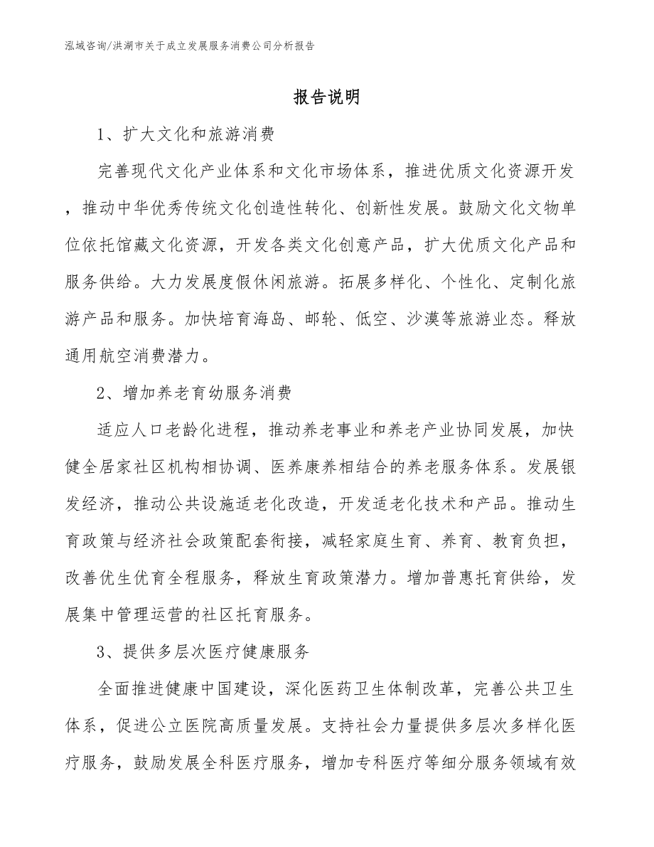 洪湖市关于成立发展服务消费公司分析报告模板范文_第1页
