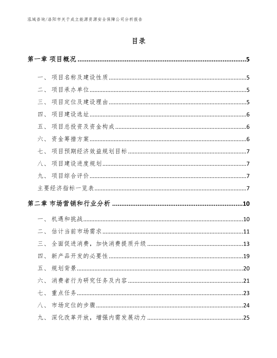 洛阳市关于成立能源资源安全保障公司分析报告模板_第1页