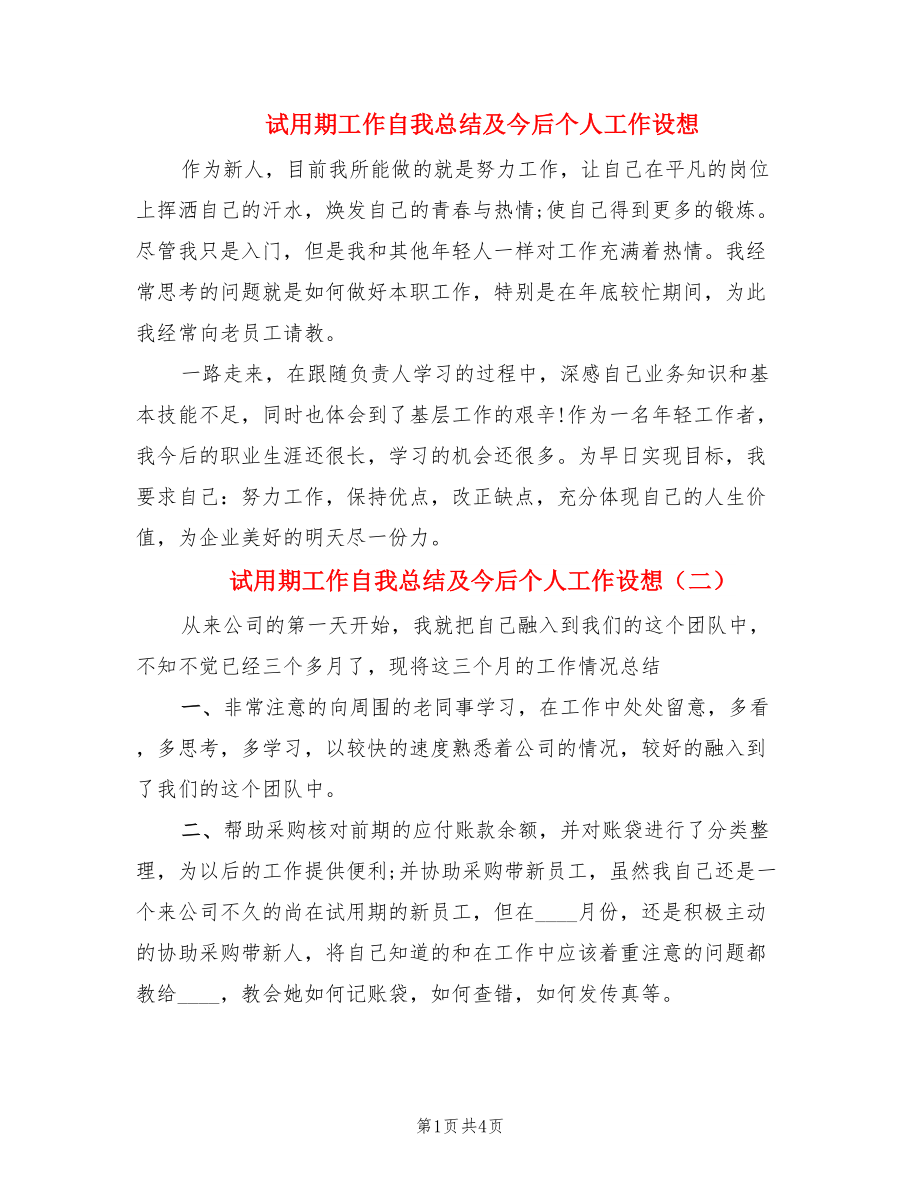 试用期工作自我总结及今后个人工作设想.doc_第1页