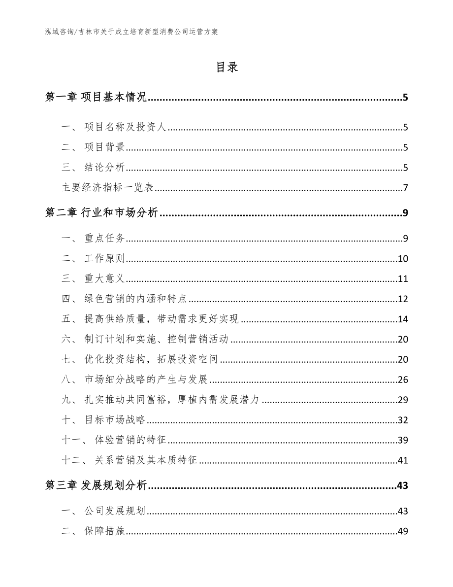 吉林市关于成立培育新型消费公司运营方案_第1页