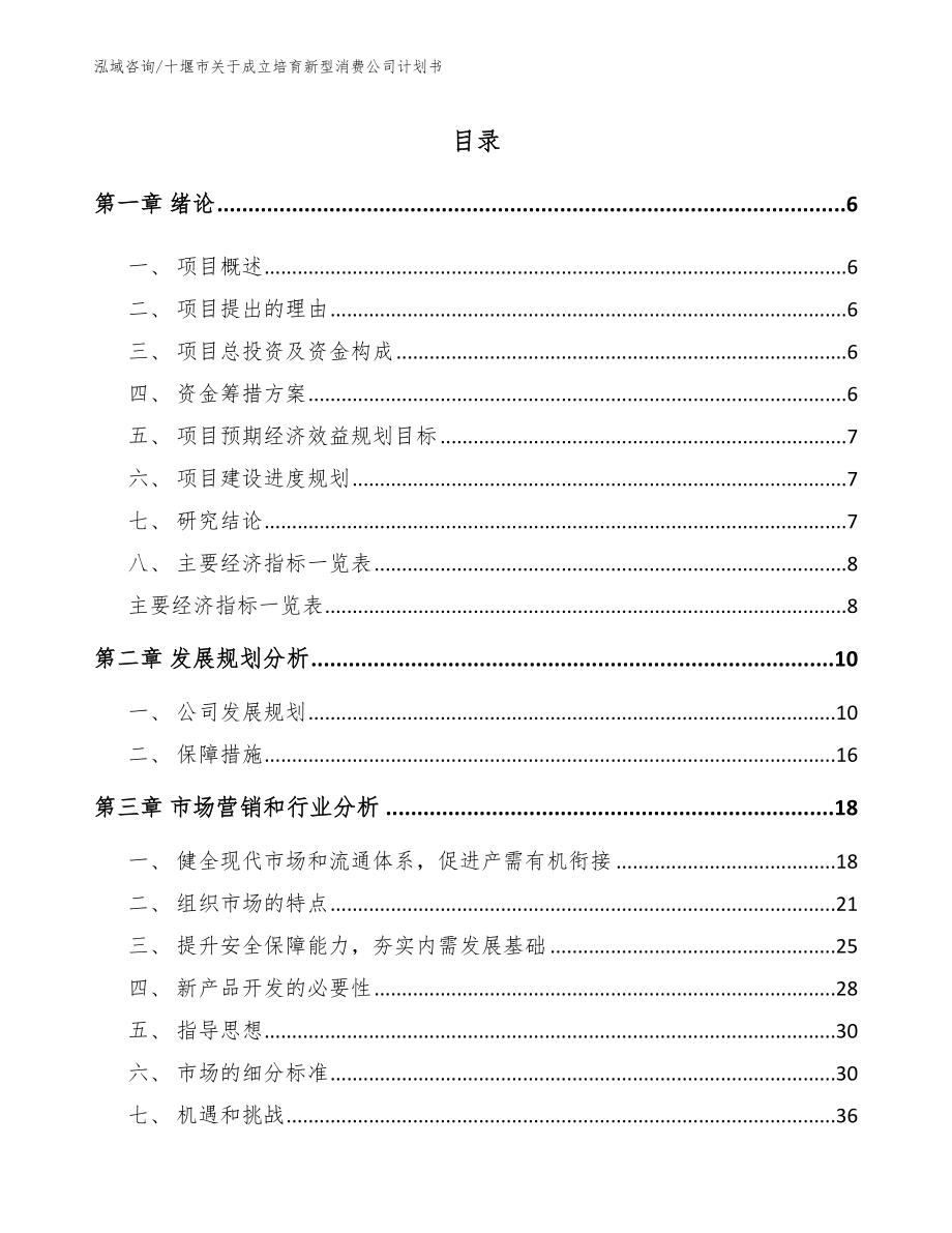 十堰市关于成立培育新型消费公司计划书参考模板_第1页