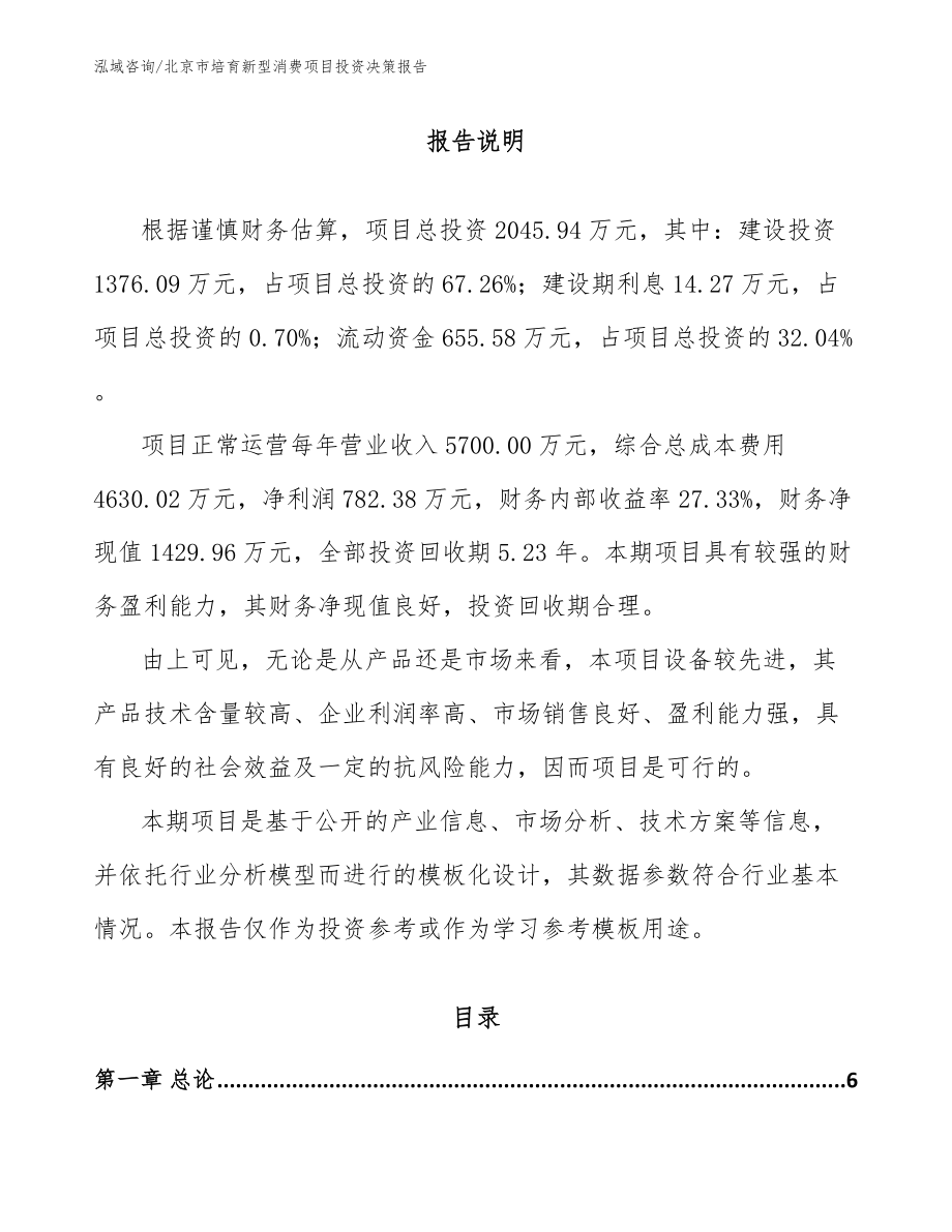 北京市培育新型消费项目投资决策报告_参考模板_第1页