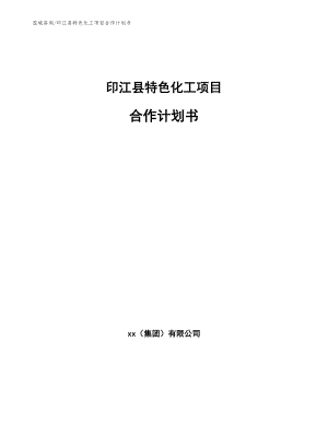 印江县特色化工项目合作计划书【参考模板】
