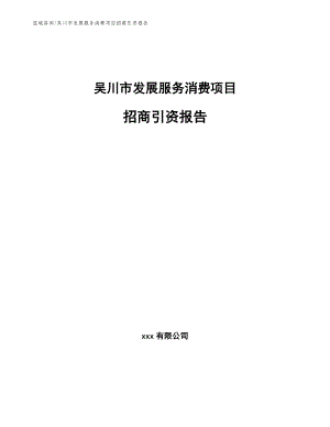 吴川市发展服务消费项目合作计划书